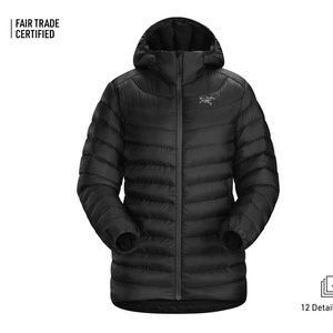 Arcteryx Cerium LT hooded down jacket